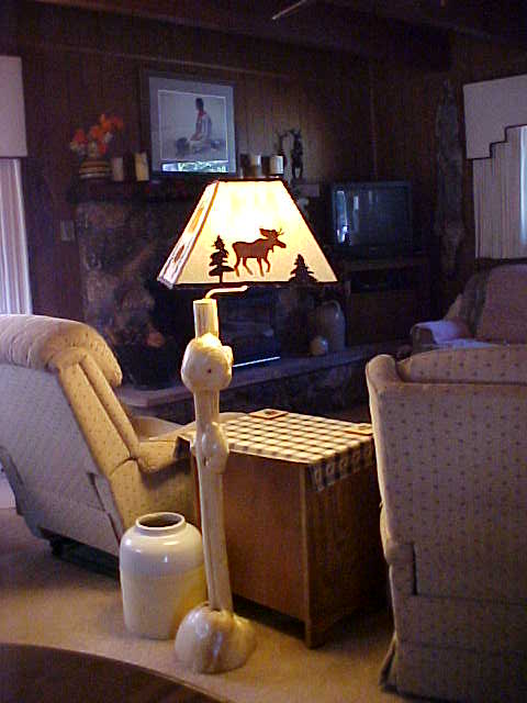 Shade on customer's lamp