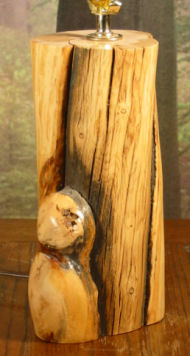 Log Lamp with Shade