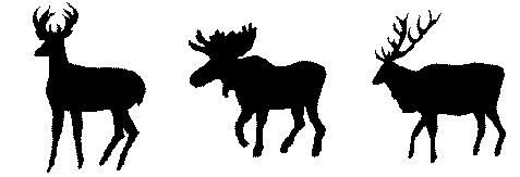 Whitetail Deer Outline