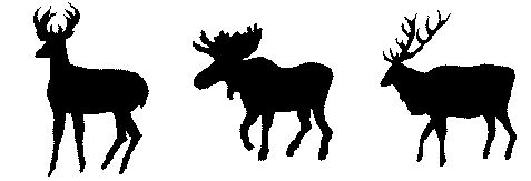 Elk, Moose and Deer animal outline