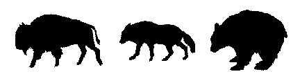 Buffalo, Wolf and Bear Outlines